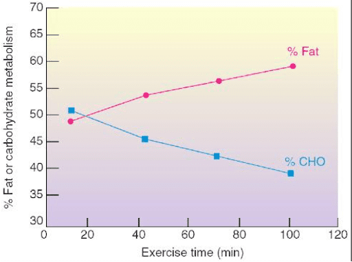 Fat and Carbohydrate Metabolism during exercise