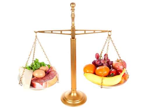 Balanced diet scale and healthy plate model