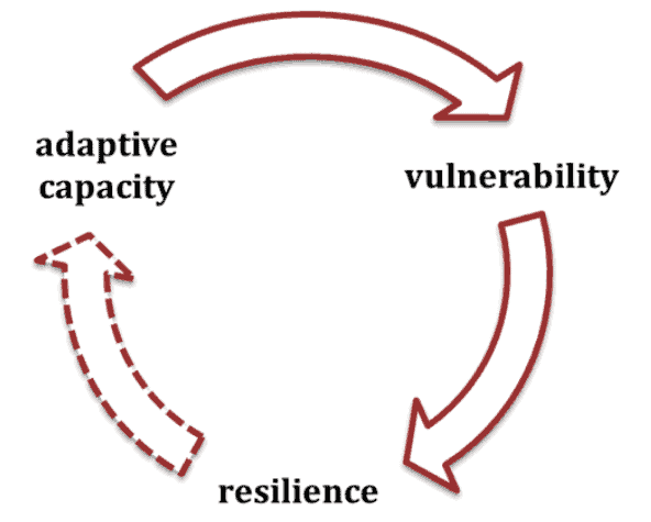 Resilience adaptive capacity and vulnerability