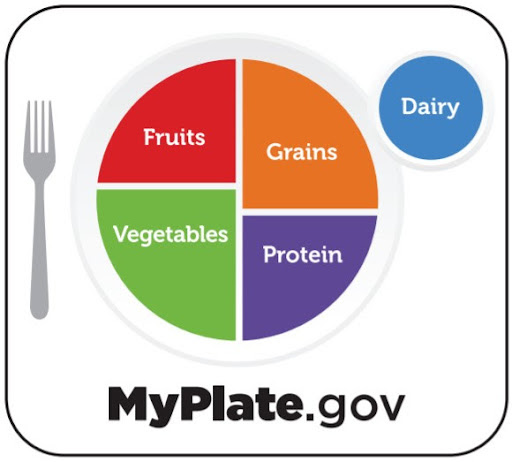 The Healthy Plate Model - Essentials Of Healthy Eating | D'Connect