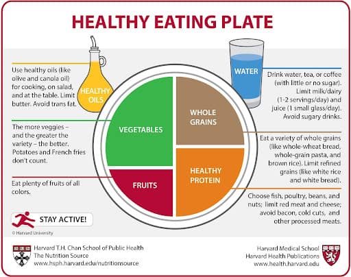 The Healthy Plate Model