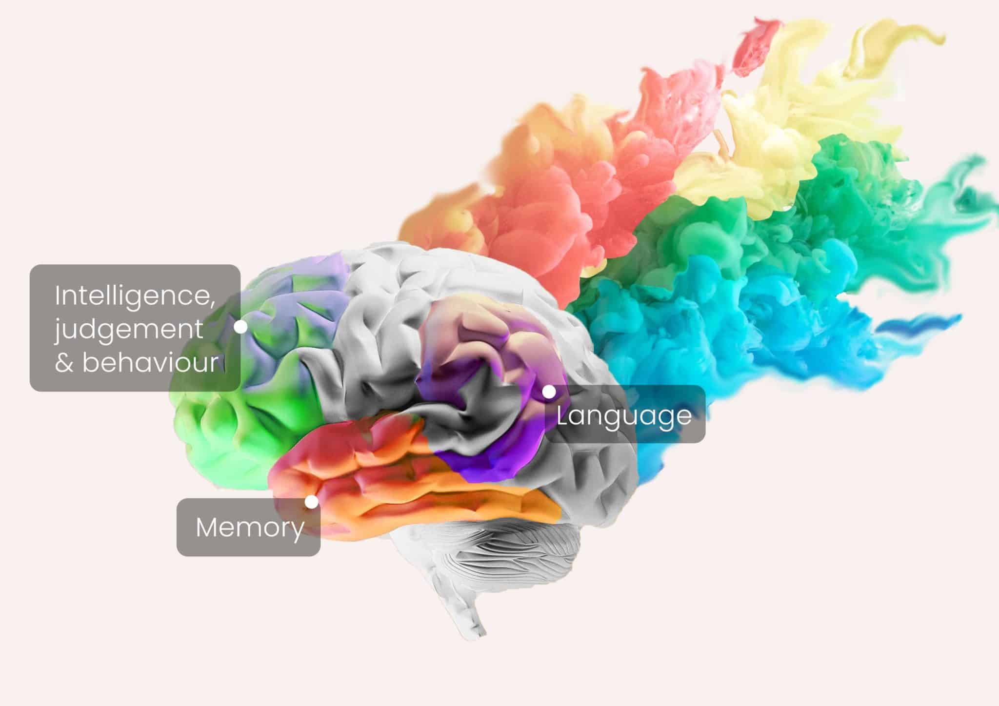 What Is Neurofeedback Therapy And Brain Training? | D'Connect