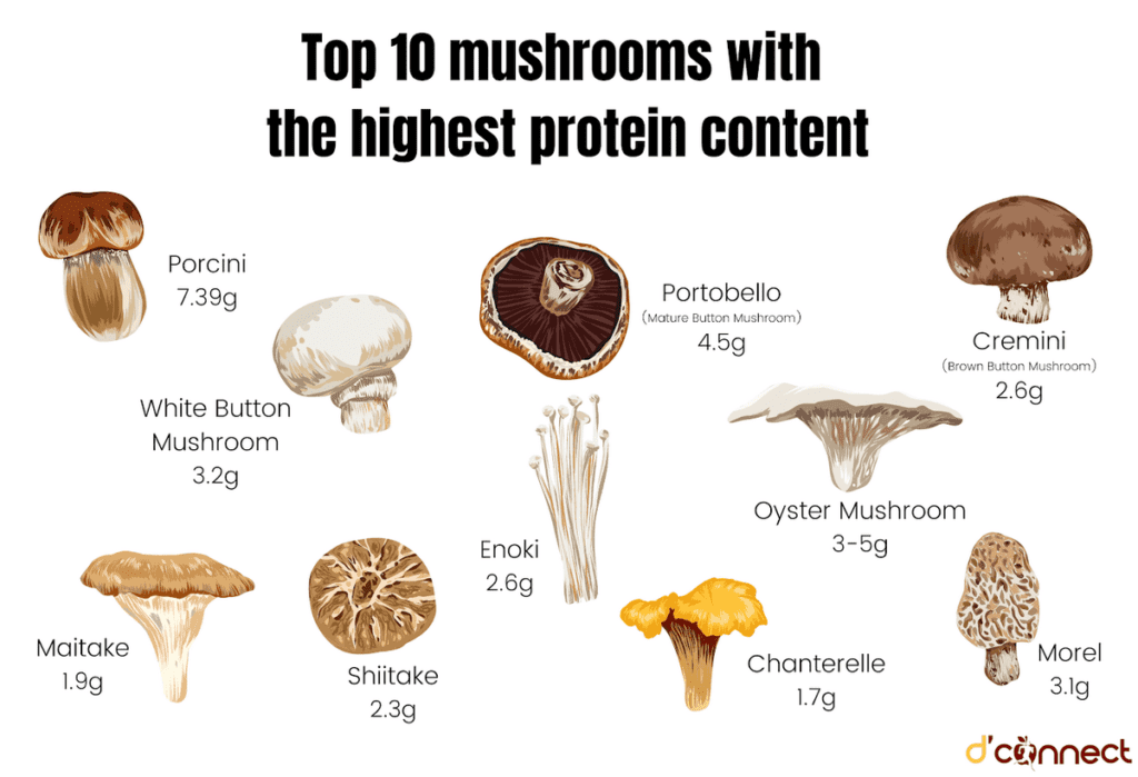 Top 10 mushrooms with the highest protein content