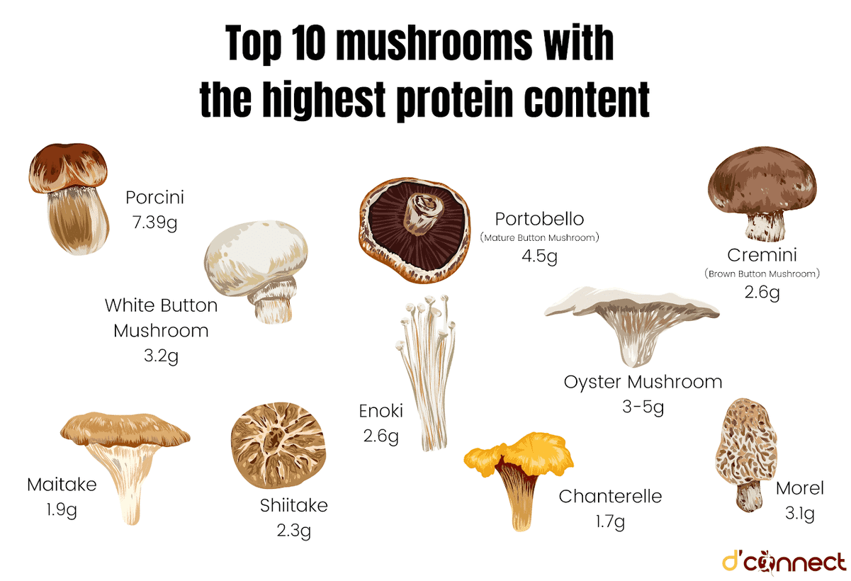 The Health Benefits Of Mushrooms And Fungi | D'Connect