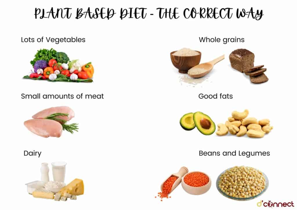 Plant based diet- the correct way