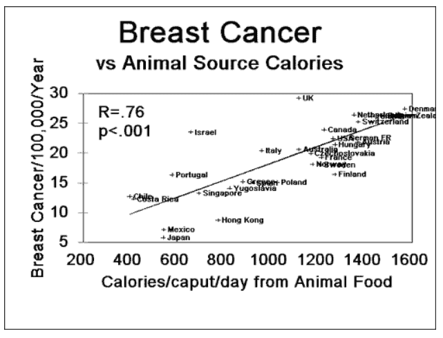 Breast Cancer and animal calories