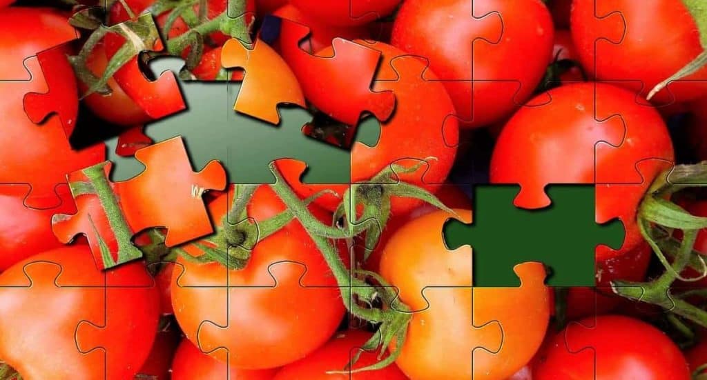 Putting the pieces together for your diet