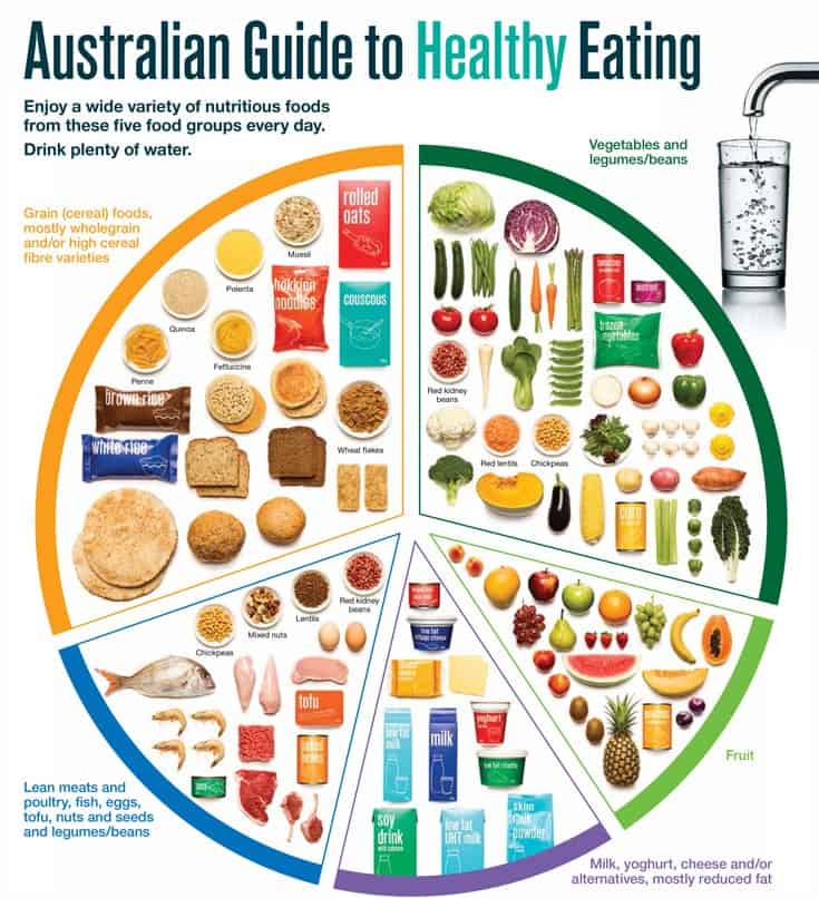 The Healthy Plate Model - Essentials of Healthy Eating | D'Connect