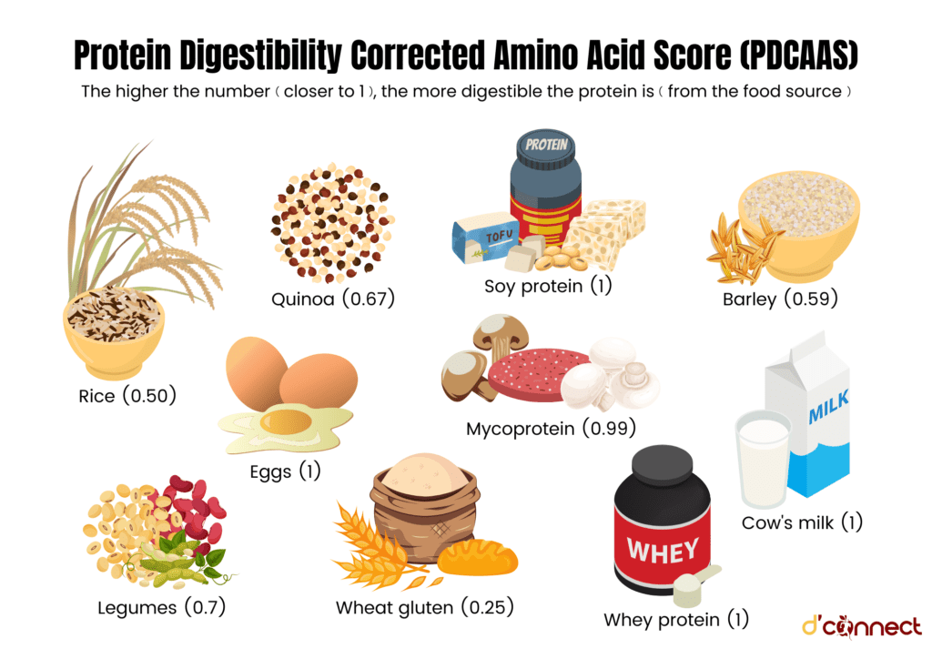 Animal and plant-based protein in foods and digestibility