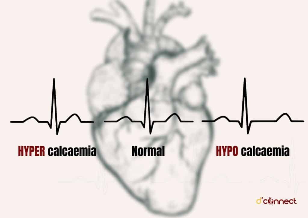 Calcium levels and healthy heartbeat