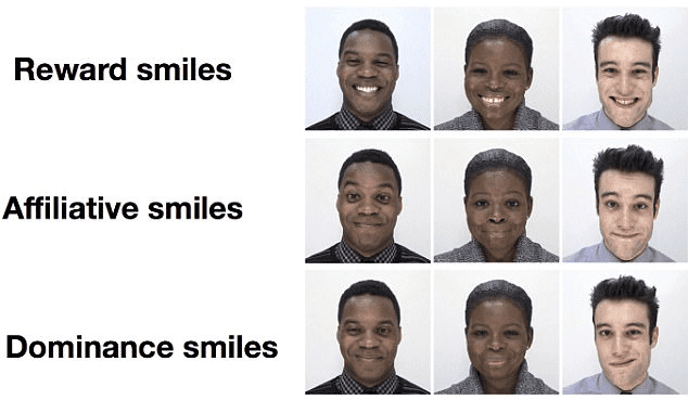 Reward, affiliative and dominance smiles