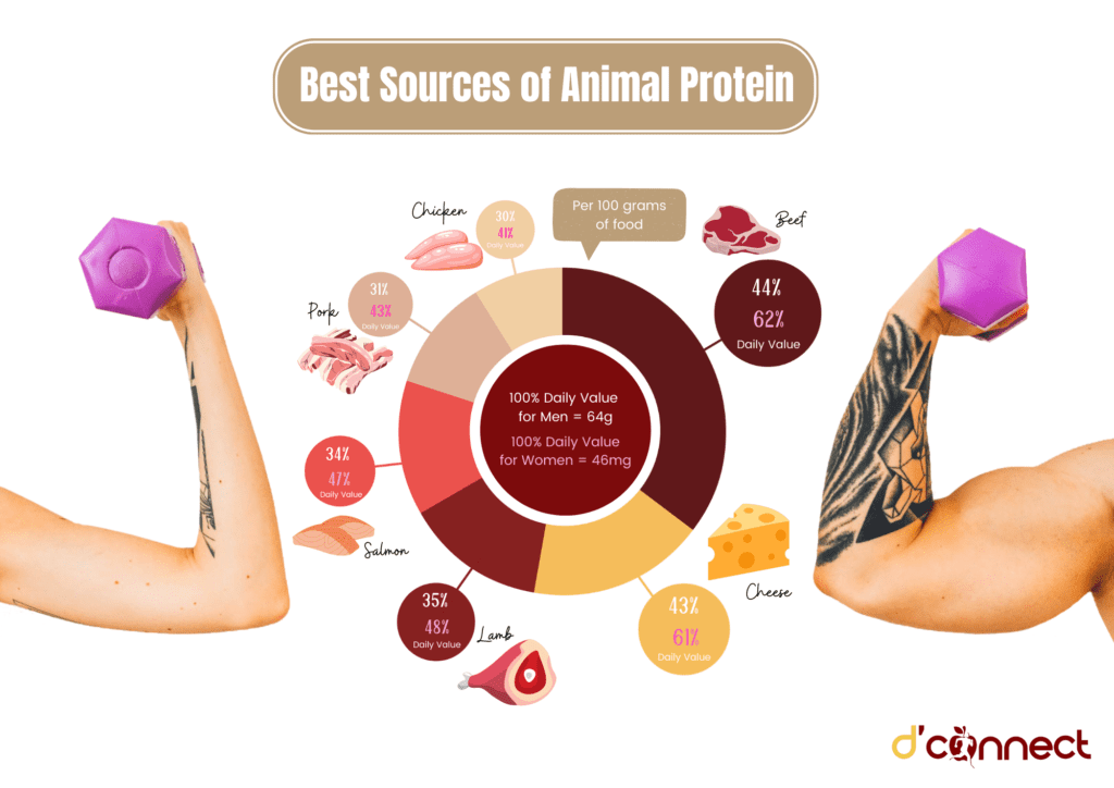 animal protein sources