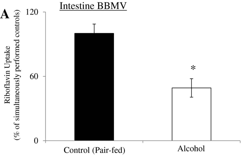 Chronic alcohol intake reduced the uptake of riboflavin