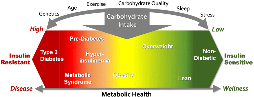 High carbohydrate diets and increased risk of diseases