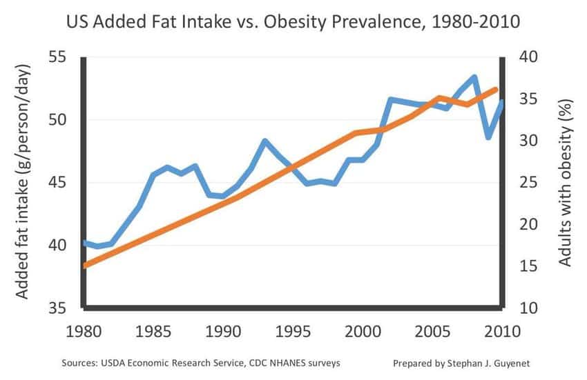 Obesity and added trans fats