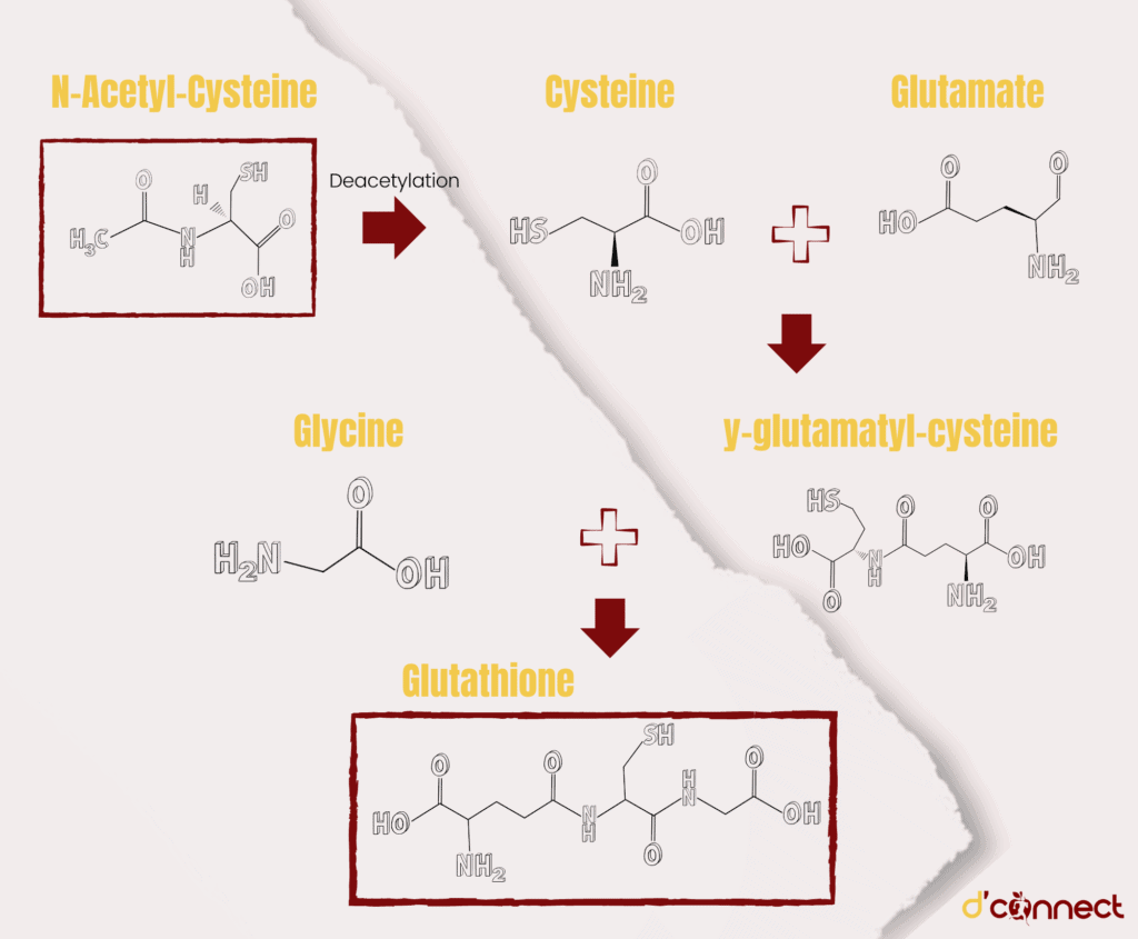 N-Acetyl-Cysteine chemical reaction