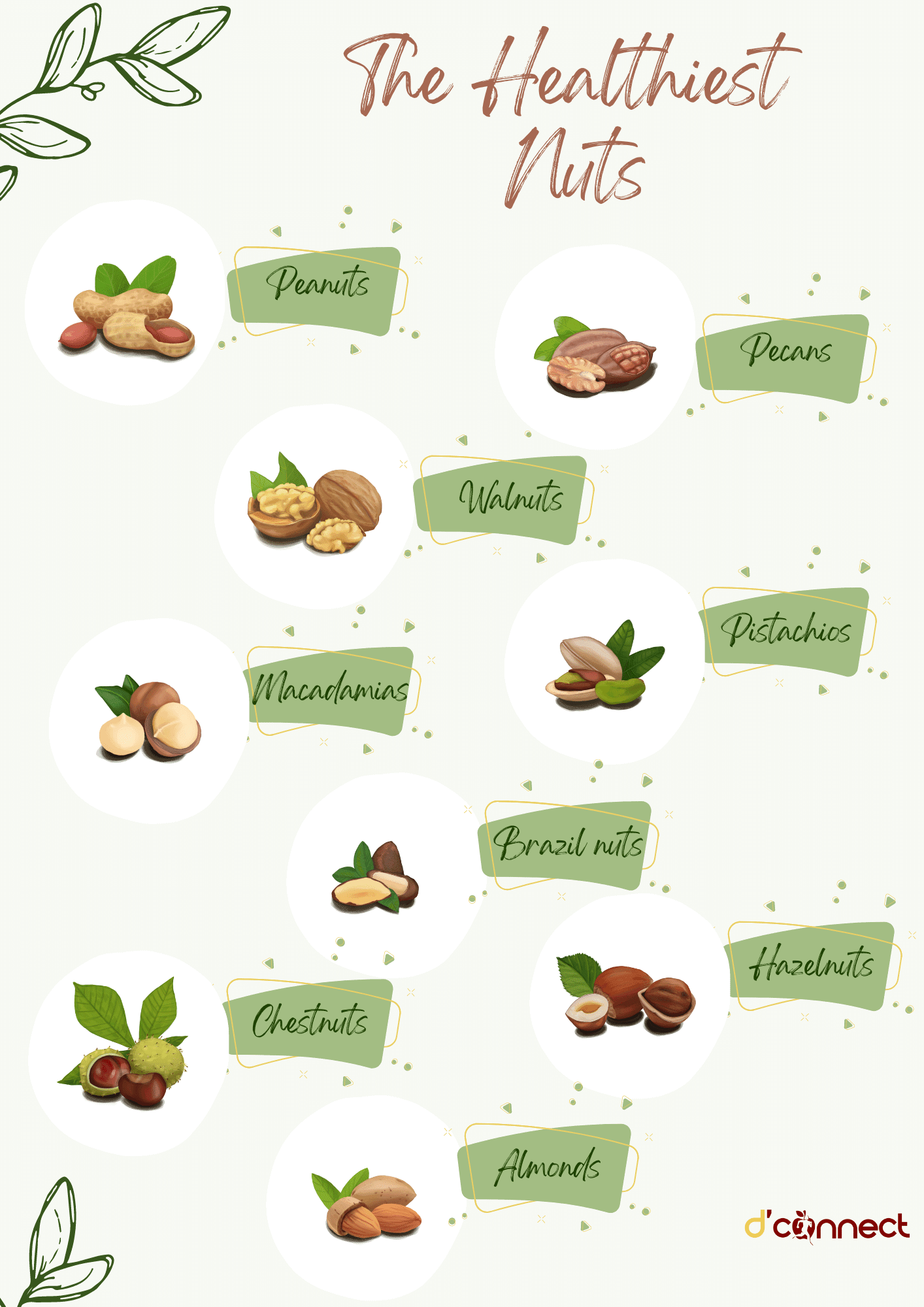 Anticancer foods The Healthiest Nuts (Part I) D'Connect