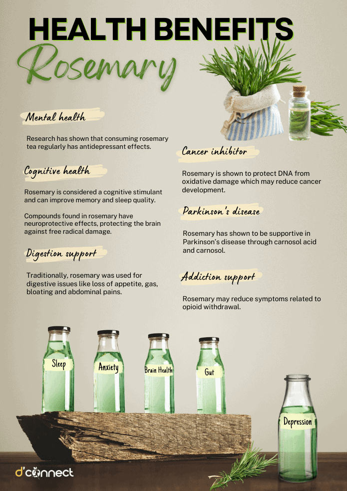 Rosemary tea: 9 Health benefita that make it a morning elixir