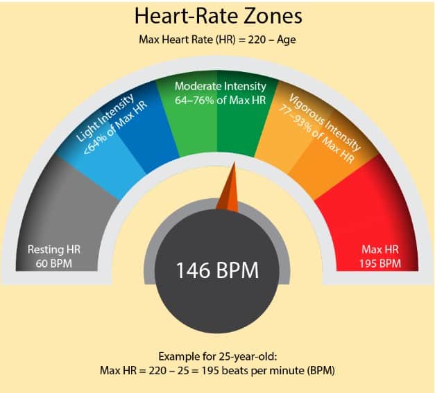 Heart rate zones (age and training)