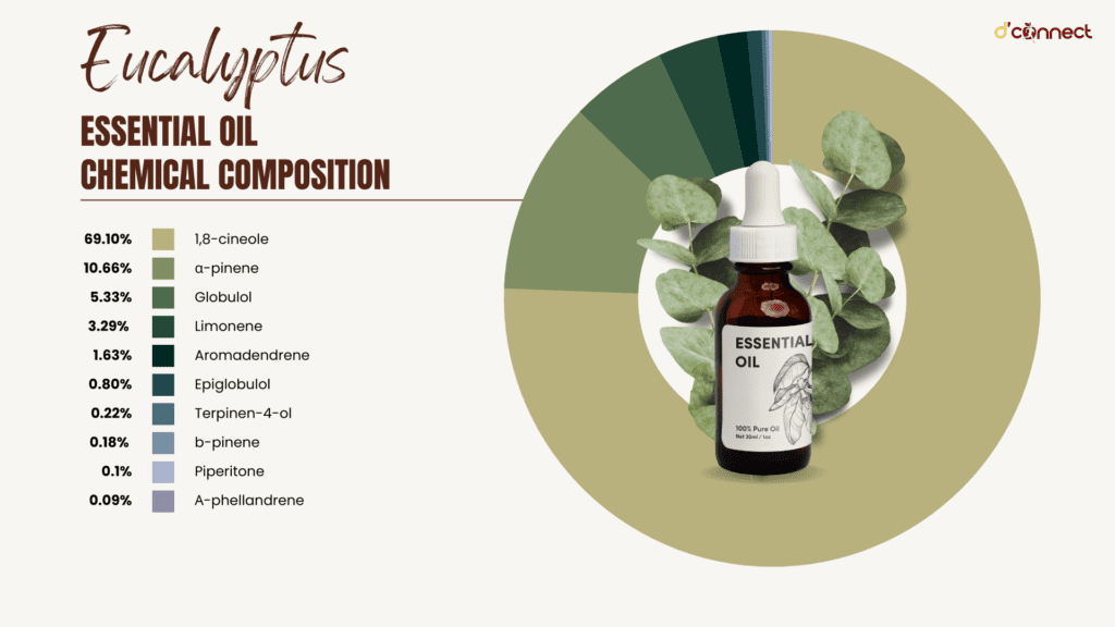 Eucalyptus essential oil chemical composition