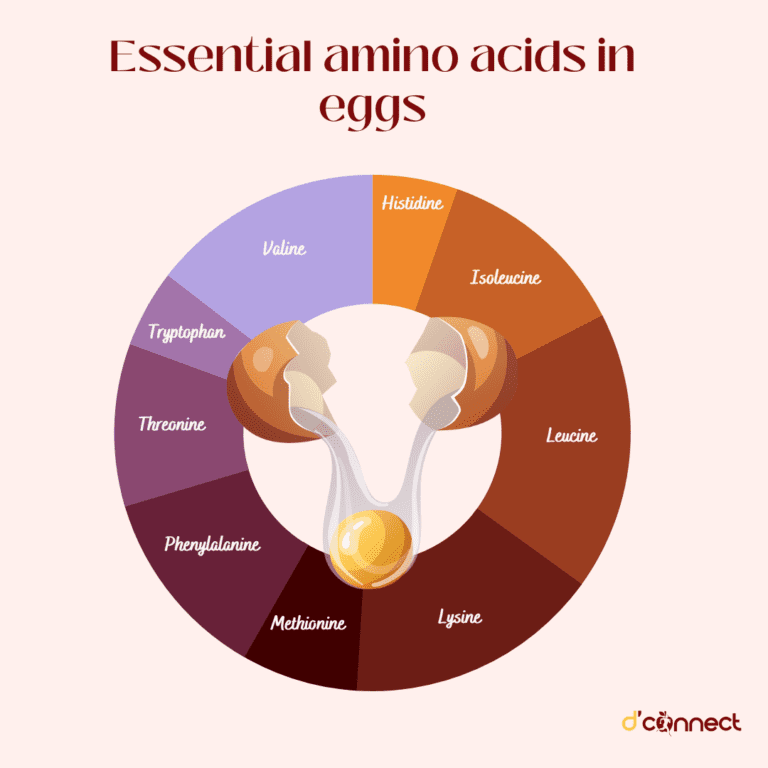 Amino acids in eggs