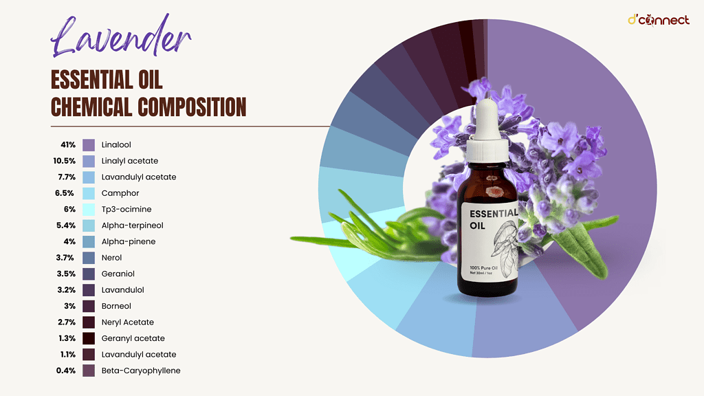 Lavender Essential oil chemical composition