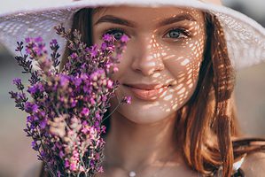 Lavender (Lavandula angustifolia) | D'Connect