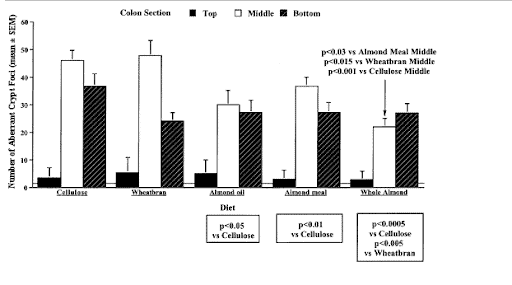 Almond in the diet and colon cancer markers