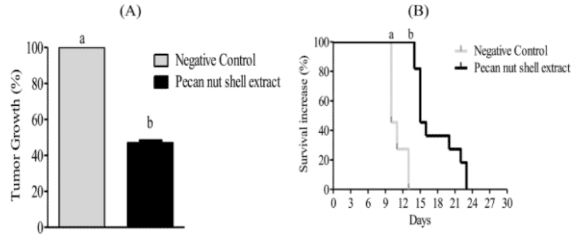 Pecan nut shell extract and cancer cell death