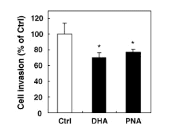 Pine nuts and inhibition of human breast cancer