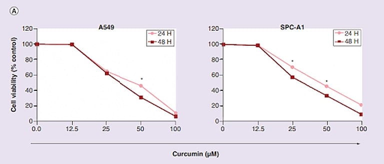 Curcumin inhibits lung cancer