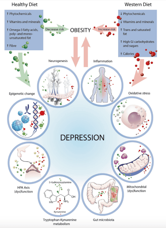 Nutrition and depression