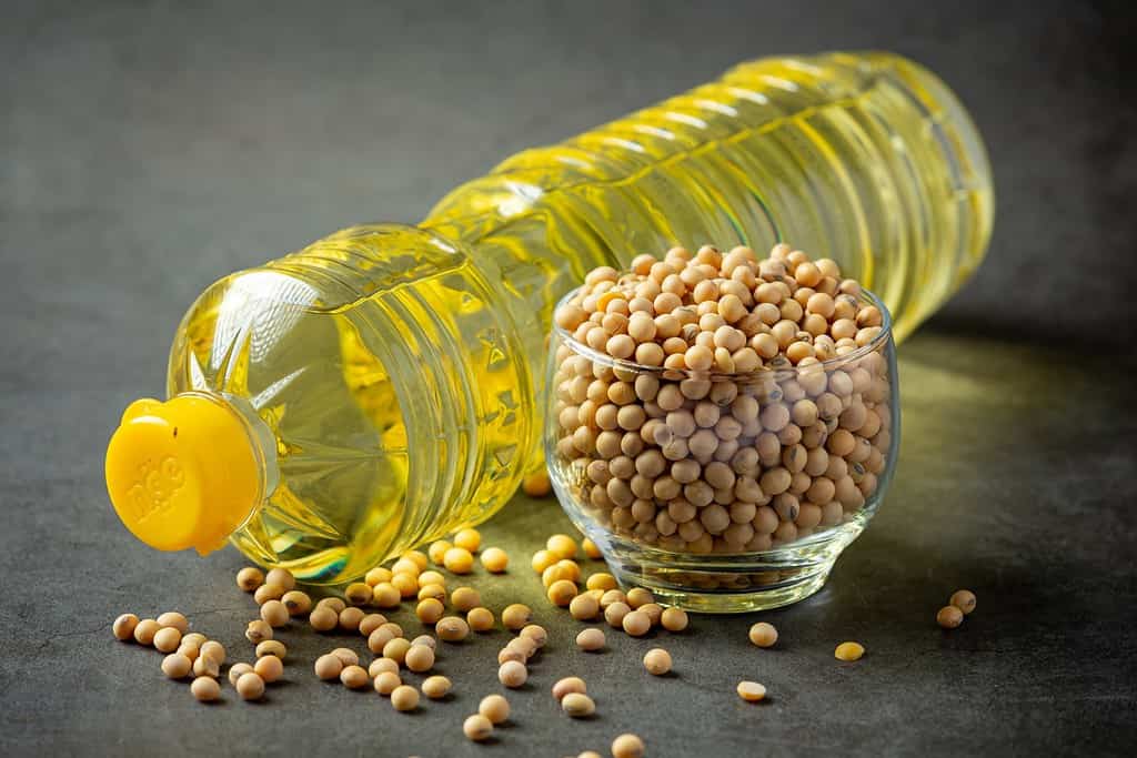 Soybean oil in a plastic bottle
