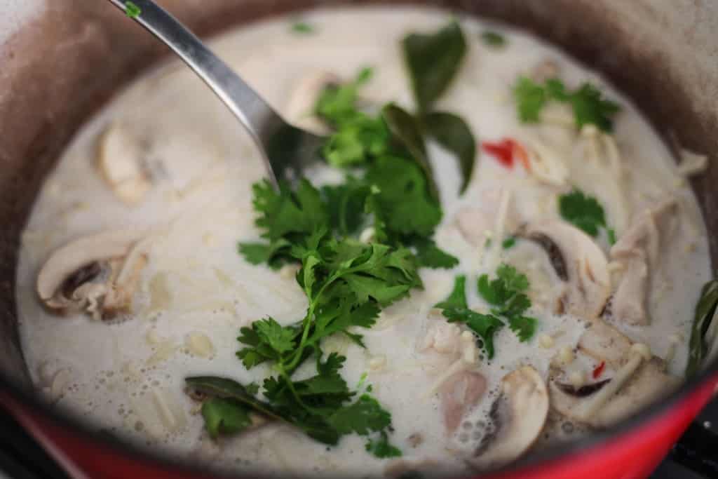 Tom Kha Gai Chicken Coconut Soup