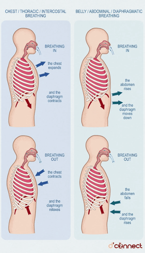 Types of breathing