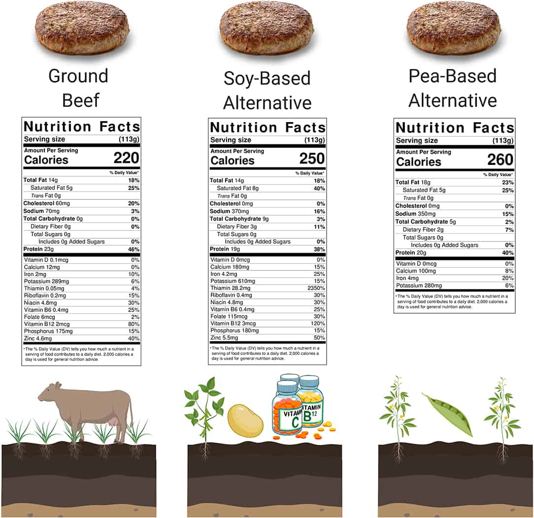 Animal-based and plant-based burger