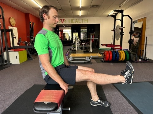 Seated leg extension picture