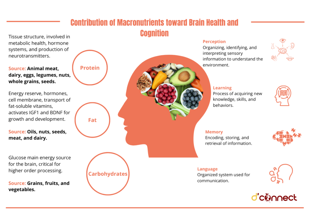 Macronutrients and brain health