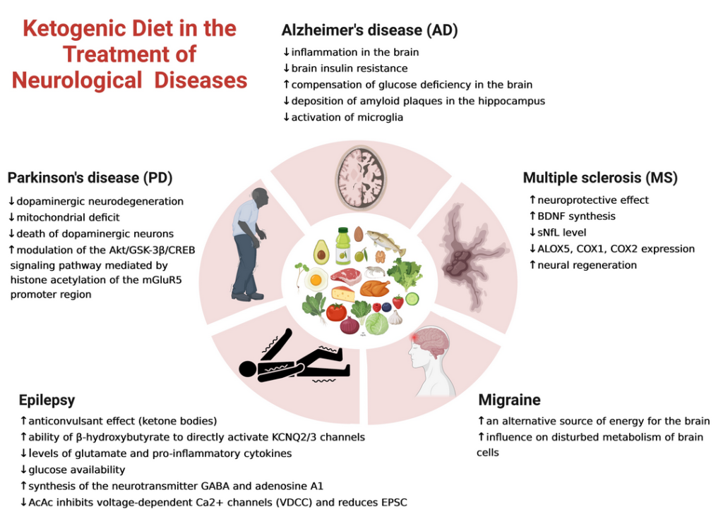 Ketogenic diet and treatment of neurological diseases