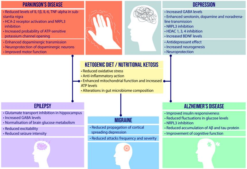 Brain health and ketogenic diet