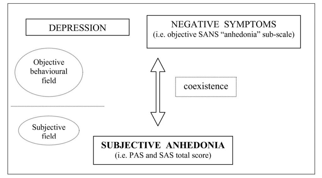 Psychopathological relations among anhedonia, clinical depression, and negative symptoms in major depressive disorder.