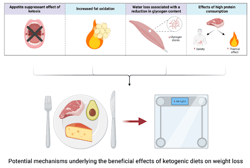 Beneficial effects of ketogenic diet