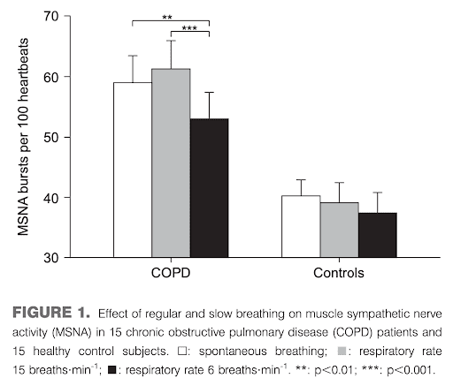 Effect of regular and slow breathing on muscle sympathetic nerve activity (MSNA) in COPD patients and 15 healthy control subjects