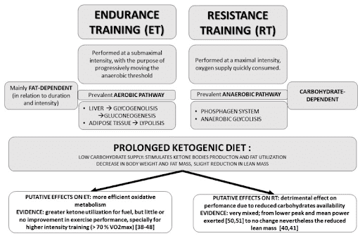 Effects of Ketogenic Diet on the availability of metabolic substrates in relation to the type of exercise