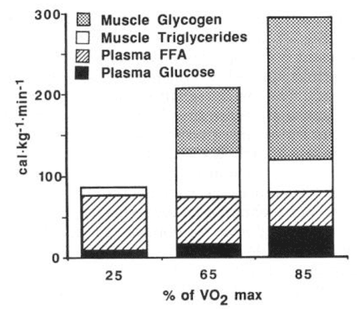 Energy substrate utilised during different stages of exercise intensity