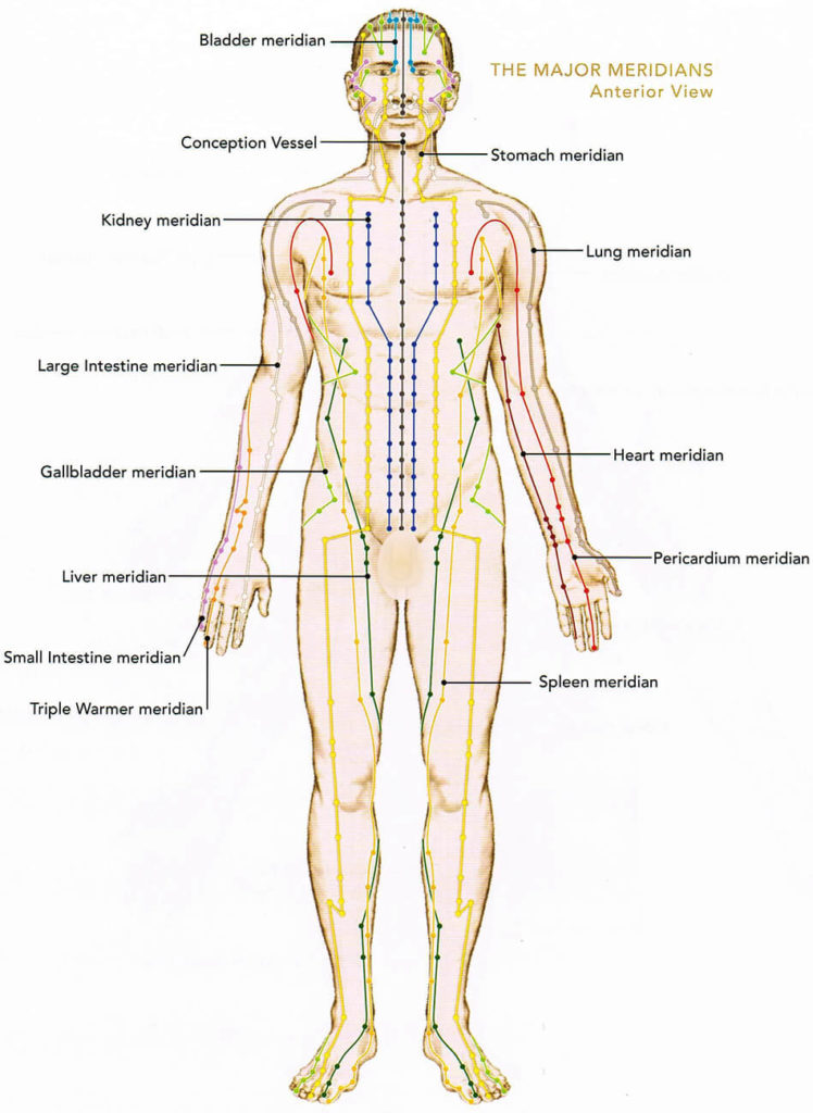 Acupuncture meridans front