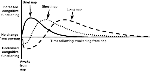 Duration of a nap and cognitive function