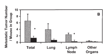 Effect of flaxseed diet in human breast cancer cells in mice model