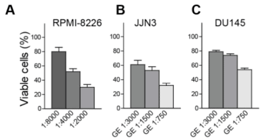 Homemade garlic extract and impact on prostate cancer cells