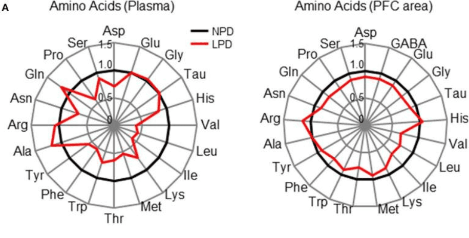 Concentration of amino acids in the brain of mice